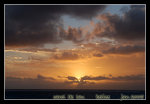 DSC_0206c1