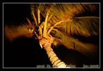 DSC_0272c1