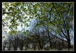 spring vs winter