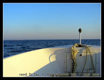 DSCN1406C1