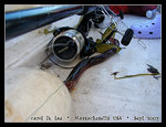 the moving bait
DSCN1408c1