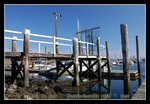 DSC_0084C1