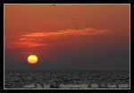 best sunrise i've ever seen during this whole trip!!
DSC_0795C1