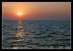 DSC_0817C1