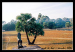 041223 angkorsunrise022