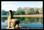041223 angkorsunrise028