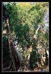 angkor thom
