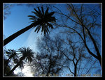 DSCN0814C1