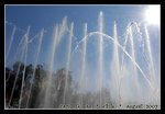 DSC_0066C1