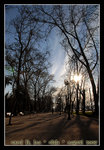 Parc Forestal
DSC_0105C1