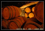inside of concha y toro
DSC_0194C1