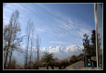 
on the way to Del Maipo to our 2nd winery, HA!
DSC_0211C1