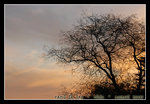 @ San Christobal
DSC_0281C1