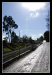 
on the way to Osorno
DSC_0358C1