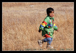 DSC_0520C1c1