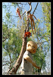 DSC_0243V1