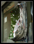 DSCN8556C1