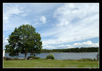 DSC_0219C1