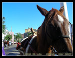 DSCN2609C1