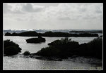 DSC_0740C1