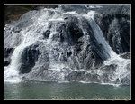 P1091203C1