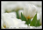 DSC_0321C2