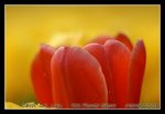 DSC_0355C2
