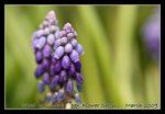 DSC_0404C2