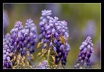 DSC_0419C2