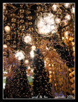 IMG_6891R1