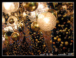 IMG_6895R1