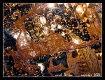 IMG_6902R1