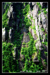 File0494svc