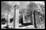 File0784sc
