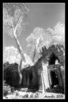 ta prohm