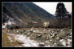 File0559sr1c