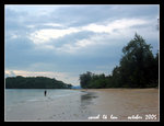 140_4083sc