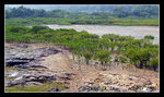 P1020054C1