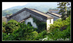 P1020078C1