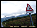 moose sign in norway