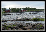 DSC_0016C1