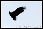 DSC_0217C1