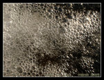 P3211455C2