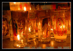 DSC_0310 copy