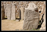 DSC_0352 copy