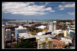 auckland 