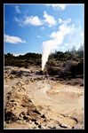 pohutu geyser at whakarewarewa  (File0341svc)