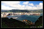 overview of wellington from mount victoria lookout