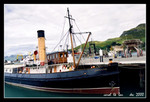 wildlife cruise at lyttelton