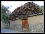 DSCN0464C1